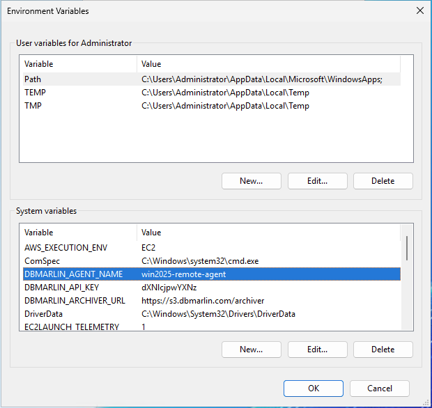 Environment variables.png