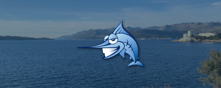 DBmarlin First Year Anniversary