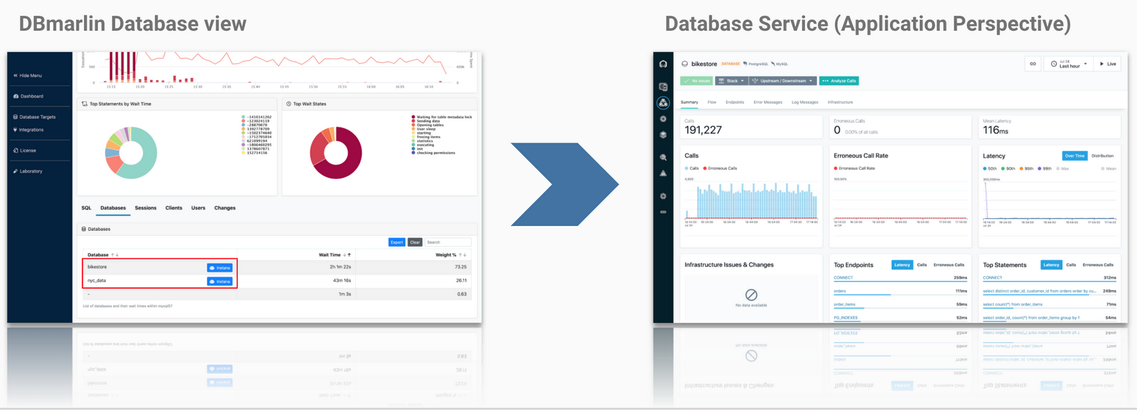 Instana application perspective